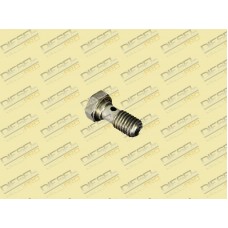 Болт кріплення зливної трубки 21.1111481