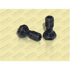 Болт кріплення ручного насоса 21.1106013